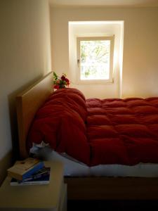 Tempat tidur dalam kamar di Agriturismo Bosco Fiorito