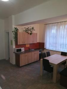 Penzion PALMA في فريدلانت ناد اوسترافيسي: غرفة مع مطبخ مع طاولة ومكتب