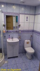 DzianiszにあるChata na Zagrodachのバスルーム(トイレ、洗面台付)
