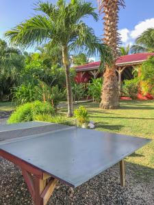 eine Tischtennisplatte in einem Garten mit Palmen in der Unterkunft Sunset Surf Camp in Saint-François