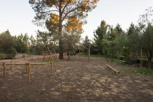 Billede fra billedgalleriet på Quinta da Mimosa i Amieira