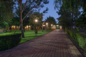a brick path in a park at night with lights at Quinta da Mimosa in Amieira
