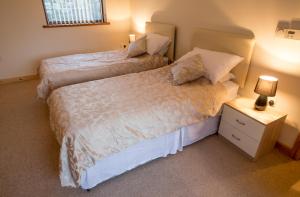 a bedroom with two beds and a night stand at Tregib Mill Cottage in Ffair-fâch