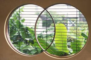 Fotografie z fotogalerie ubytování 2ROOMS Boutique House ve městě Phuket