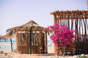 a hut with pink flowers on the beach at Fade Hotel by La Hacienda Ras Sudr in Raʼs Matarma