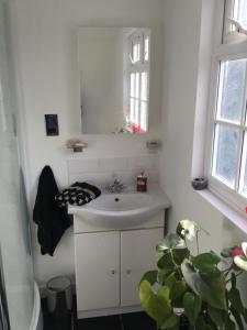 a bathroom with a sink and a mirror and a plant at Hurstbourne in Camberley