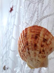 Fotografia z galérie ubytovania La Bitta Sul Molo v Janove