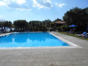 a large blue swimming pool in a yard at Lukia Barbati Mare in Barbati
