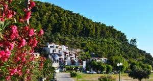 un pueblo al lado de una colina con flores rosas en Hovolo Hotel Apartments, en Neo Klima