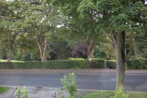 Κήπος έξω από το Villa Marina