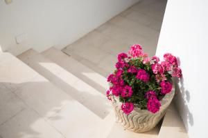 a basket of pink flowers sitting on a tile floor at Apartamentos Gama in Cala Galdana
