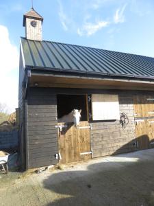 Fotografie z fotogalerie ubytování BunkHouse - Letterfrack Farm v destinaci Letterfrack