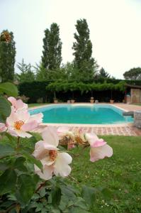Bazén v ubytování Agriturismo Borgo San Francesco nebo v jeho okolí