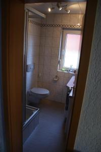 Koupelna v ubytování Ferienhaus Feldmann + 17 fotografií