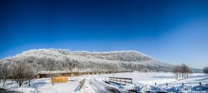 a snow covered hill with trees in the background at Mátraverebély-Szentkút Nemzeti Kegyhely in Mátraverebély
