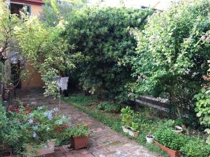 un giardino con fiori e piante in vasi di Appartamento Porta Saragozza a Bologna