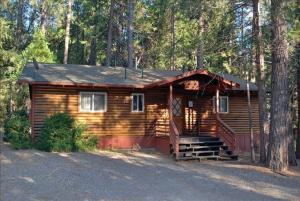 une cabane en rondins au milieu d'une forêt dans l'établissement 39 River Song, à North Wawona