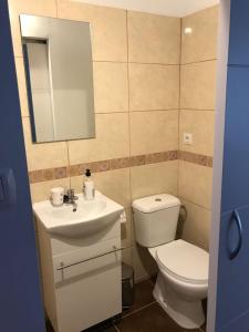 a bathroom with a toilet and a sink and a mirror at Apartamentos La Concepción in La Laguna