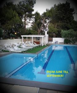 ein großes Schwimmbecken mit weißen Liegestühlen in der Unterkunft Dimora Romano in Alberobello