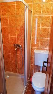 a bathroom with a shower with a toilet and a shower at Guesthouse Ramović in Zlatibor