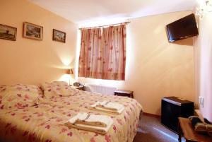 TV a/nebo společenská místnost v ubytování Hotel Restaurant La Ferme de Grambais