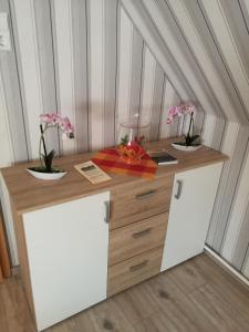 Kuchyň nebo kuchyňský kout v ubytování Appartement Lila + 7 fotografií
