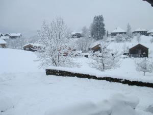 Haus Schneider durante l'inverno