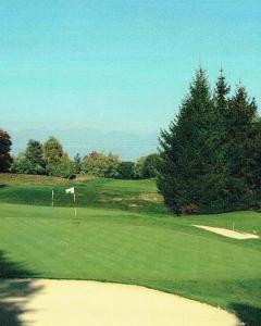 a view of a golf course with a tree in the background at Andromeda in Stresa