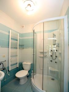 y baño con ducha, aseo y lavamanos. en Apartmán u Vřídla, ul. Tržiště. en Karlovy Vary