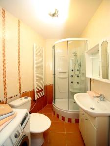 y baño con ducha, aseo y lavamanos. en Apartmán u Vřídla, ul. Tržiště. en Karlovy Vary
