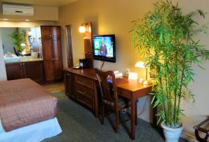 um quarto de hotel com uma secretária e uma televisão em Hotel-Motel Drummond em Drummondville