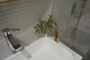 a bathroom sink with a plant on top of it at 10 Boutique House in Alcochete