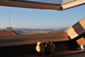 Casas Altas Obidos - AL في Sobral: يجلس اثنين من البطاريق على حافة النافذة