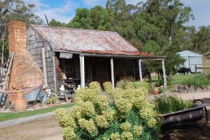 an old house with a rusty roof in a garden at Mancuso Country Cottage Retreat in Metcalfe