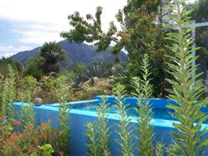 a swimming pool in a garden with plants at Hosteria Aura Azul (ex Ser Azul) in Capilla del Monte