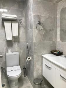 a bathroom with a toilet and a sink at Dafne Hotel in Ankara