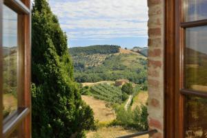 una ventana con vistas a un viñedo en Agriturismo Zampugna, en Montefollonico