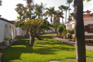 une cour verdoyante avec des palmiers dans une maison dans l'établissement Bungalow La Esquinita, à Maspalomas