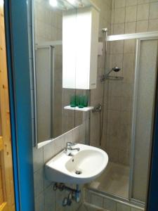 ein Bad mit einem Waschbecken und einer Dusche in der Unterkunft Hotel Sonnenhof in Litschau