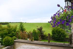 Gallery image of Robin's Nest in Liskeard