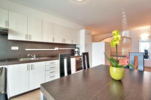 Kuchyň nebo kuchyňský kout v ubytování Apartment Katarina