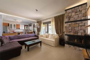 Blue & Green View Villa في Asgourou: غرفة معيشة مع أريكة ومدفأة حجرية