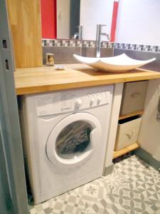 una lavatrice sotto un bancone con lavandino di GITE DE LA TOUR DE GUISE 1 a Tours