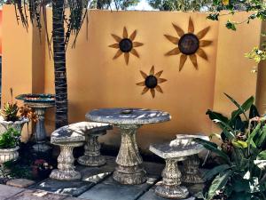 Imagem da galeria de A Sunflower Stop Backpackers na Cidade do Cabo