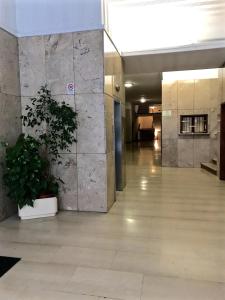 korytarz z doniczką w budynku w obiekcie Affittacamere Pratello 97 w Bolonii