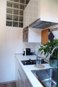 Cucina o angolo cottura di La Casa di Ringhiera