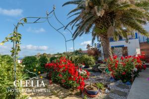 a garden with red flowers and a palm tree at Clelia Case Vista Mare in Ustica