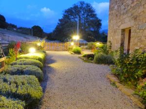a garden at night with bushes and lights at Maison d'Hôtes Zella in Bains de Guitera