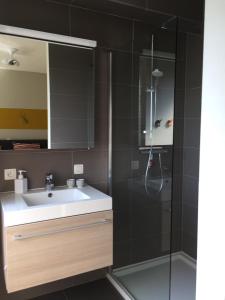 uma casa de banho com um lavatório e um chuveiro em Scheldepunt em Gante