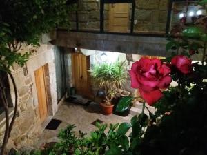 Jardín al aire libre en Casa A Chairiña y A Revolta